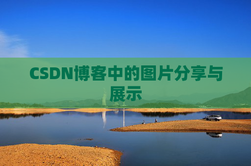 CSDN博客中的图片分享与展示